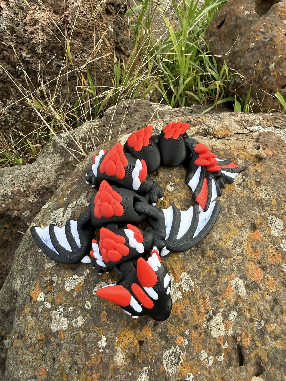 AFL Team Dragons – 3D Printed Collectibles