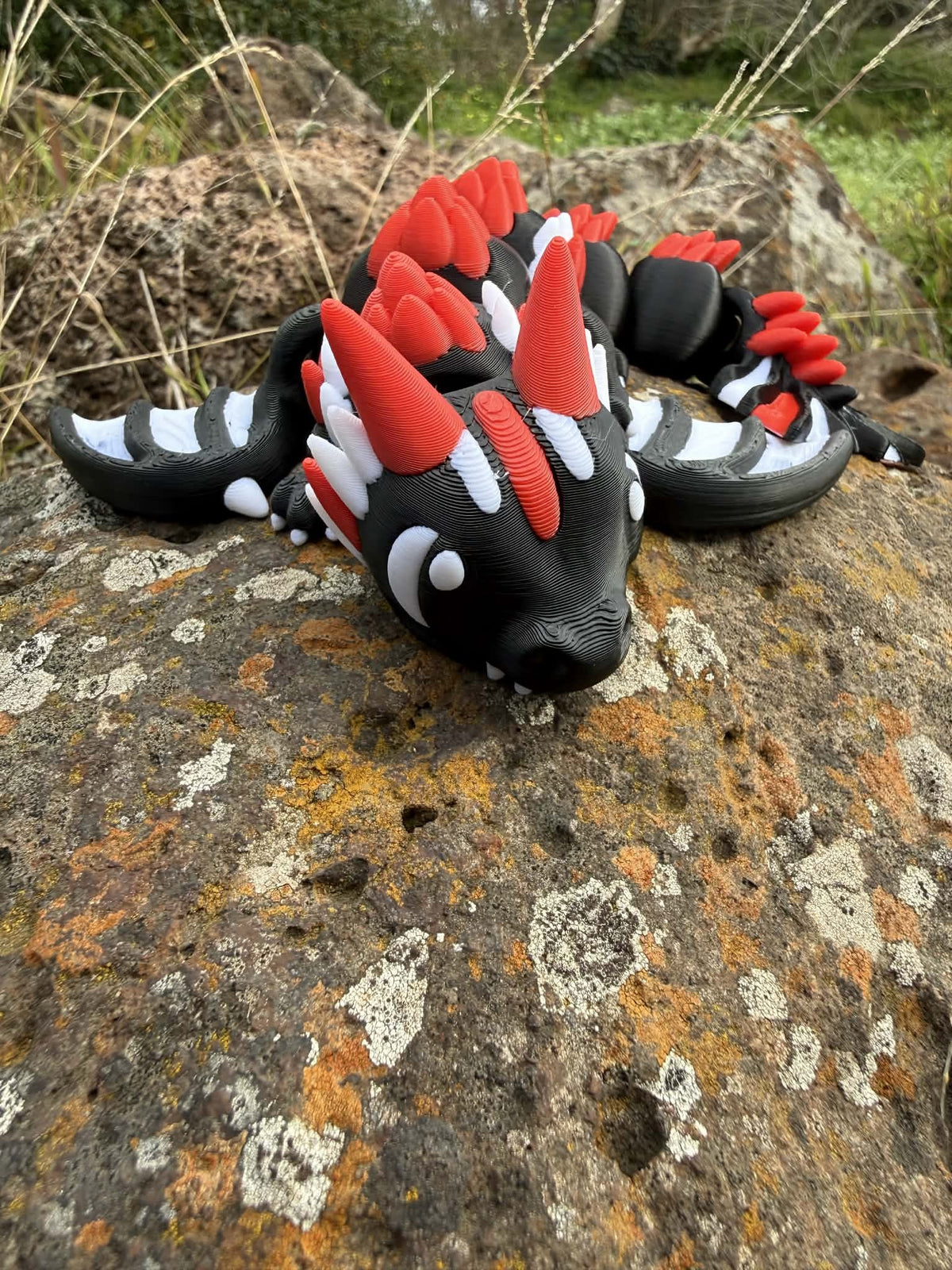 AFL Team Dragons – 3D Printed Collectibles