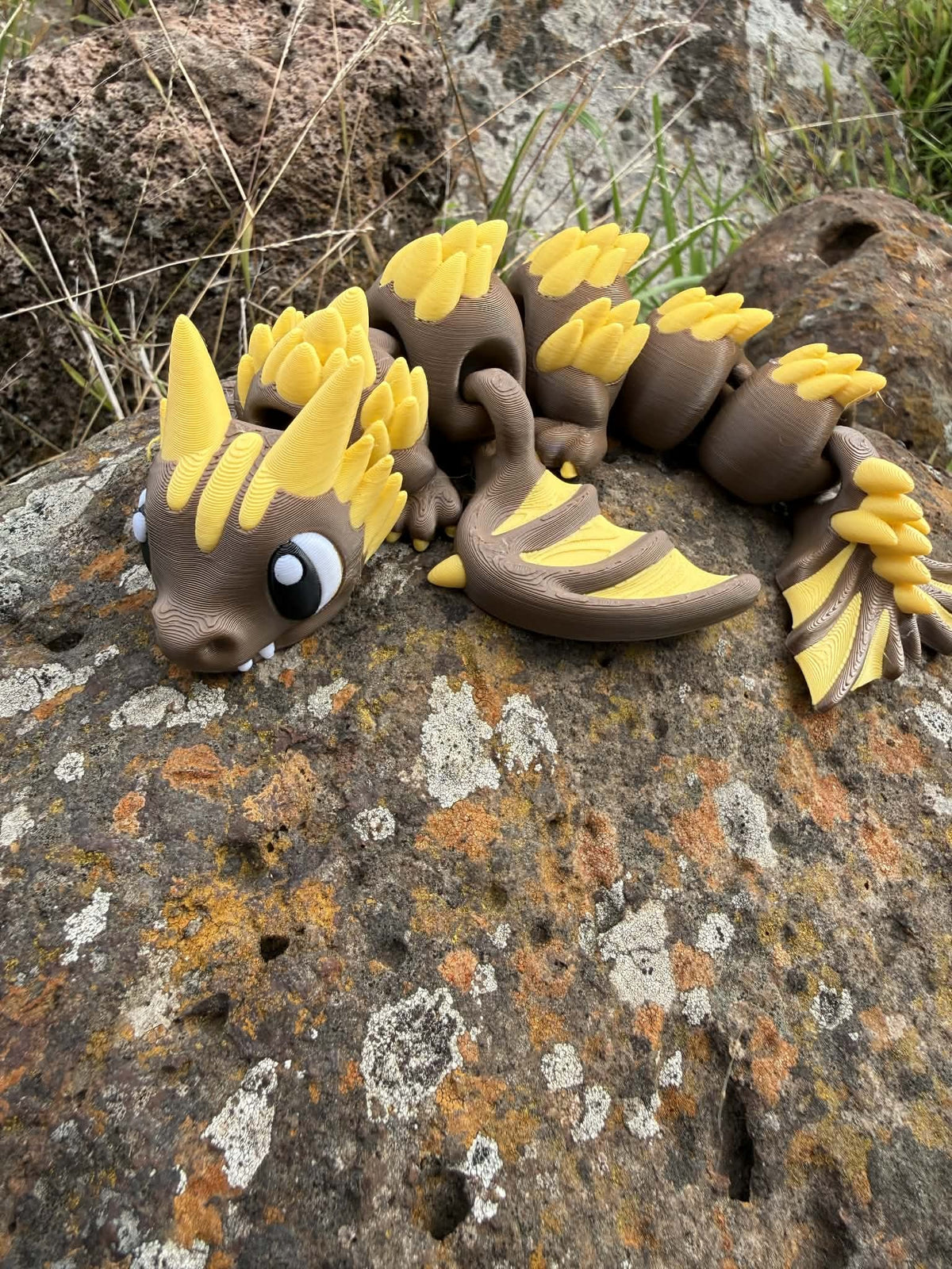 AFL Team Dragons – 3D Printed Collectibles