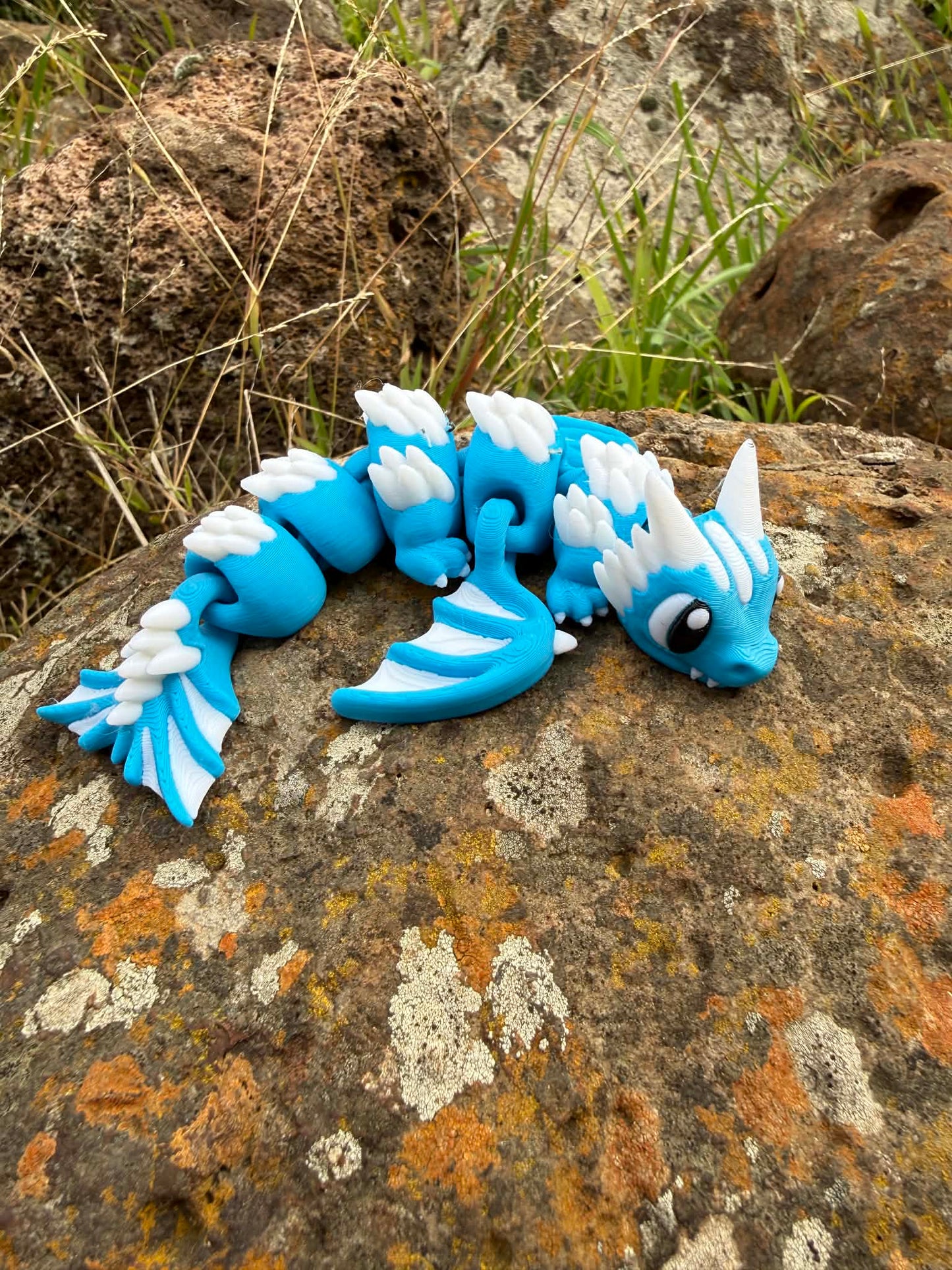AFL Team Dragons – 3D Printed Collectibles