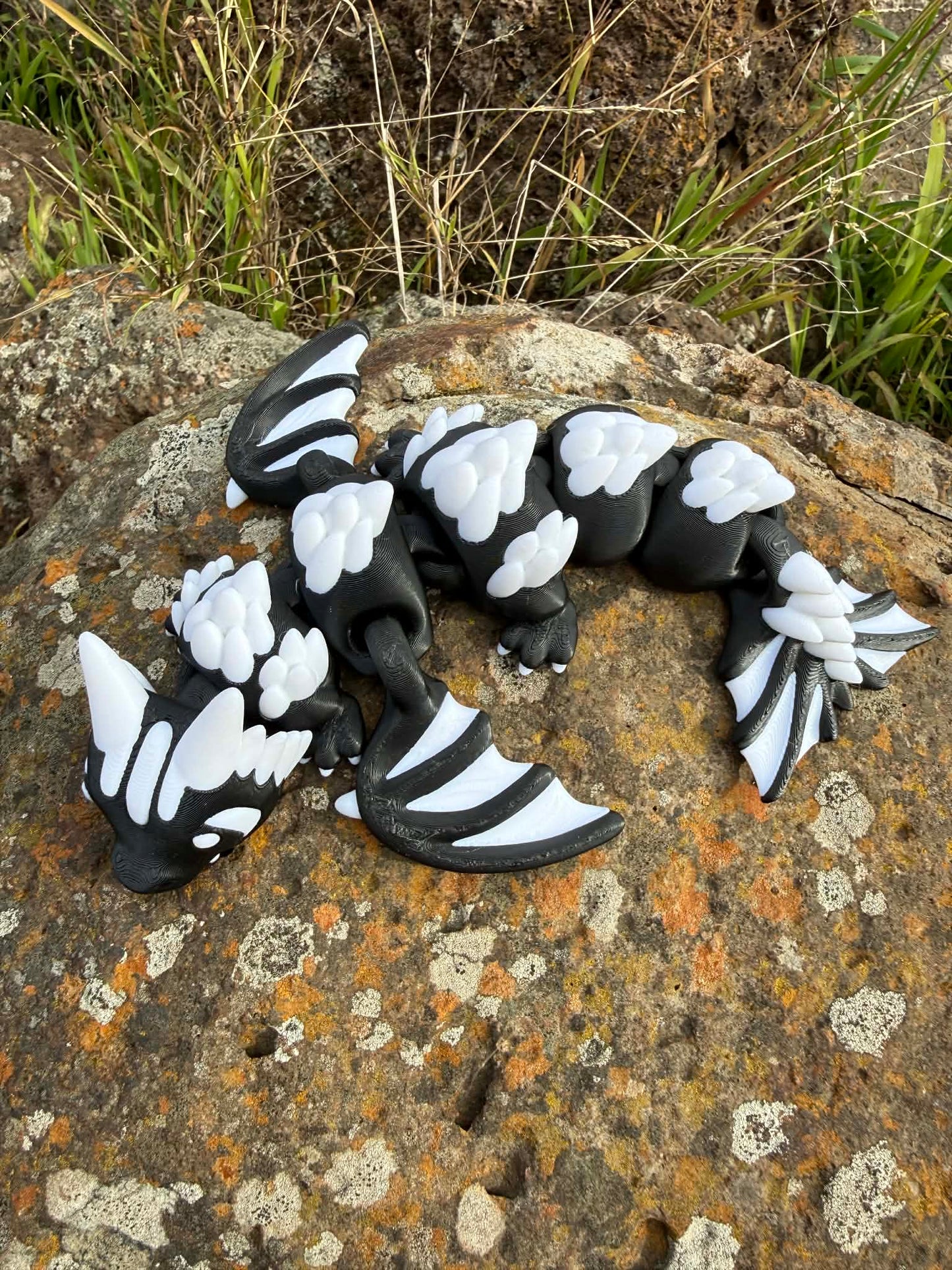 AFL Team Dragons – 3D Printed Collectibles