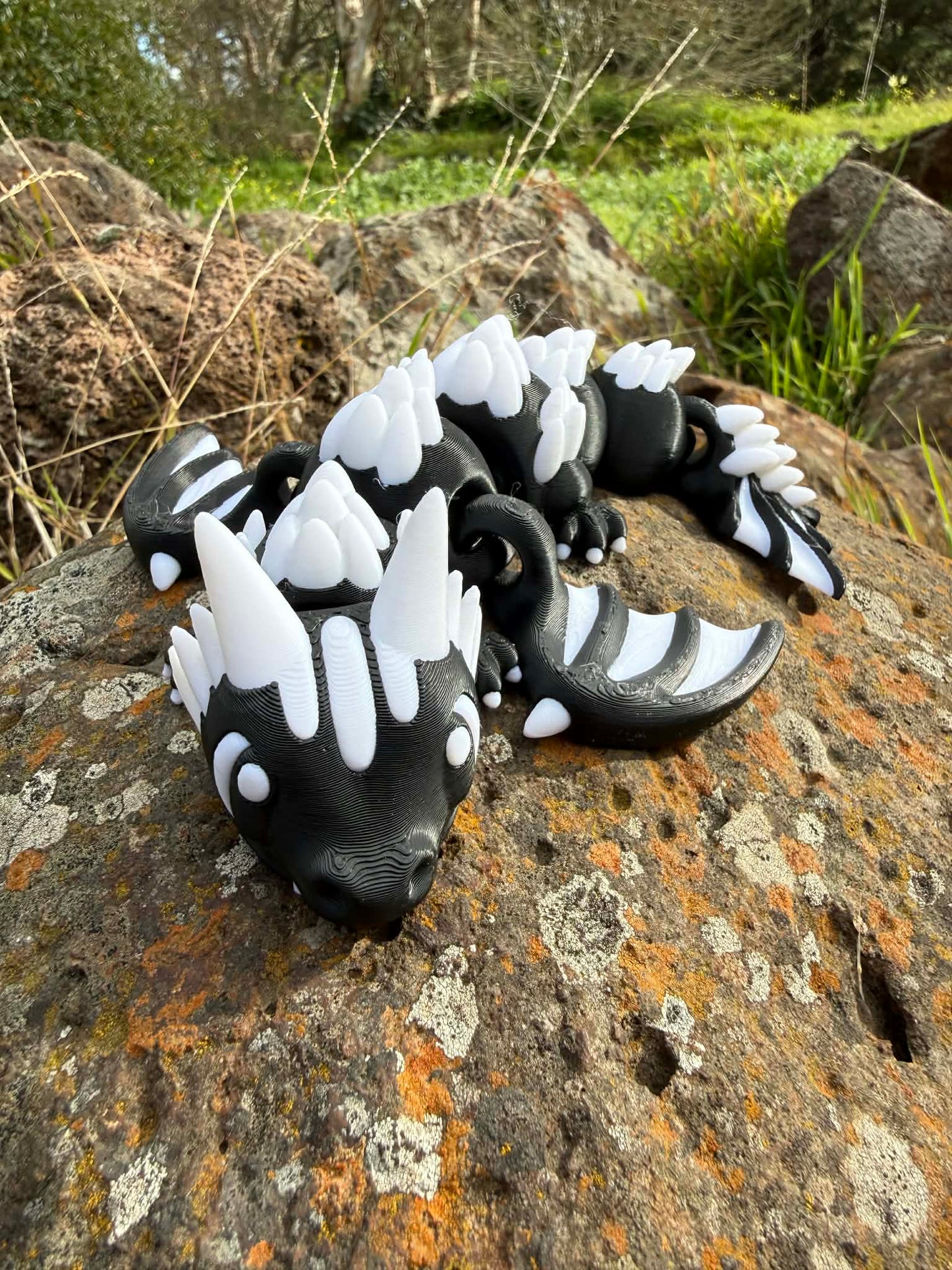 AFL Team Dragons – 3D Printed Collectibles