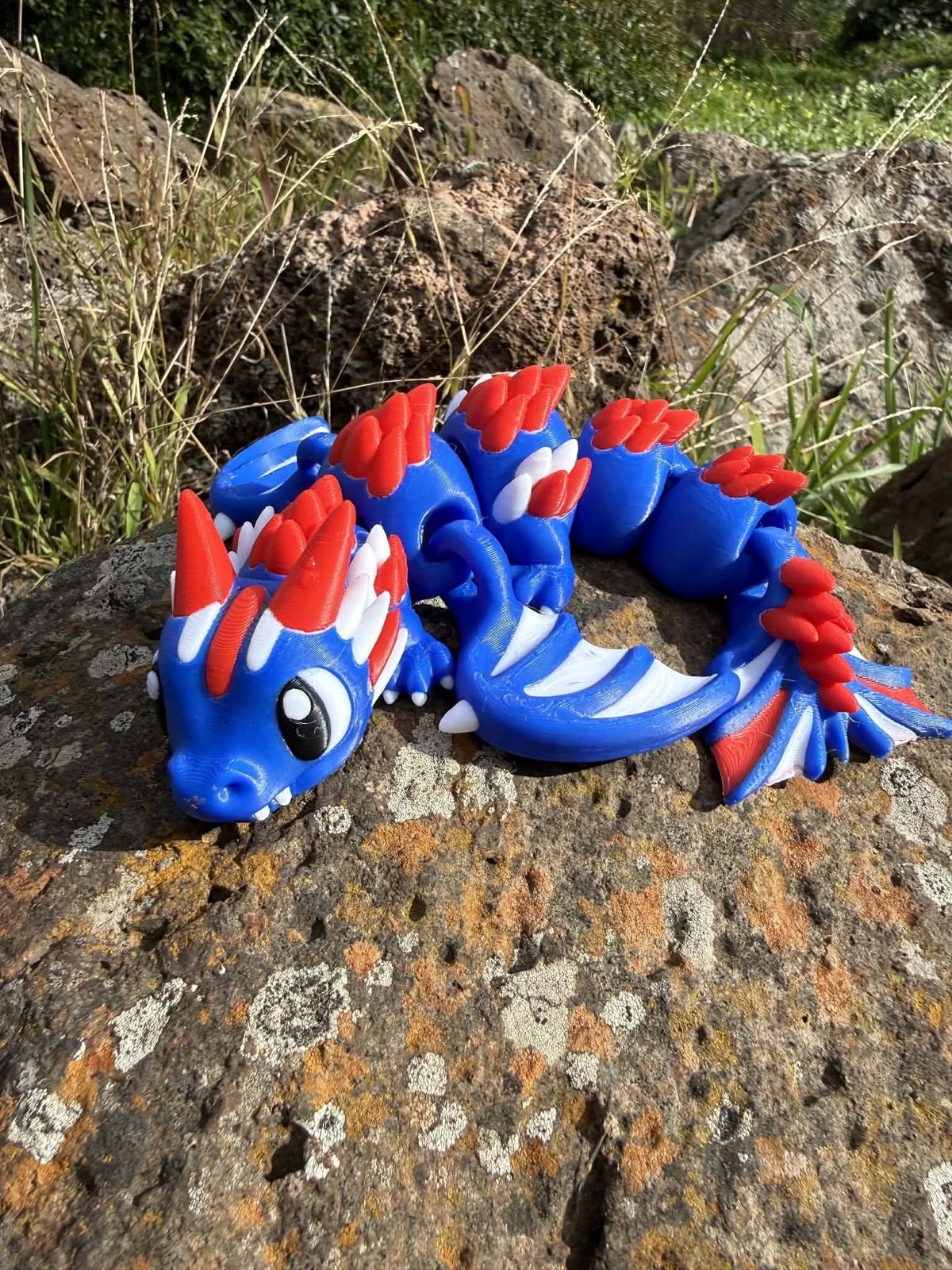 AFL Team Dragons – 3D Printed Collectibles