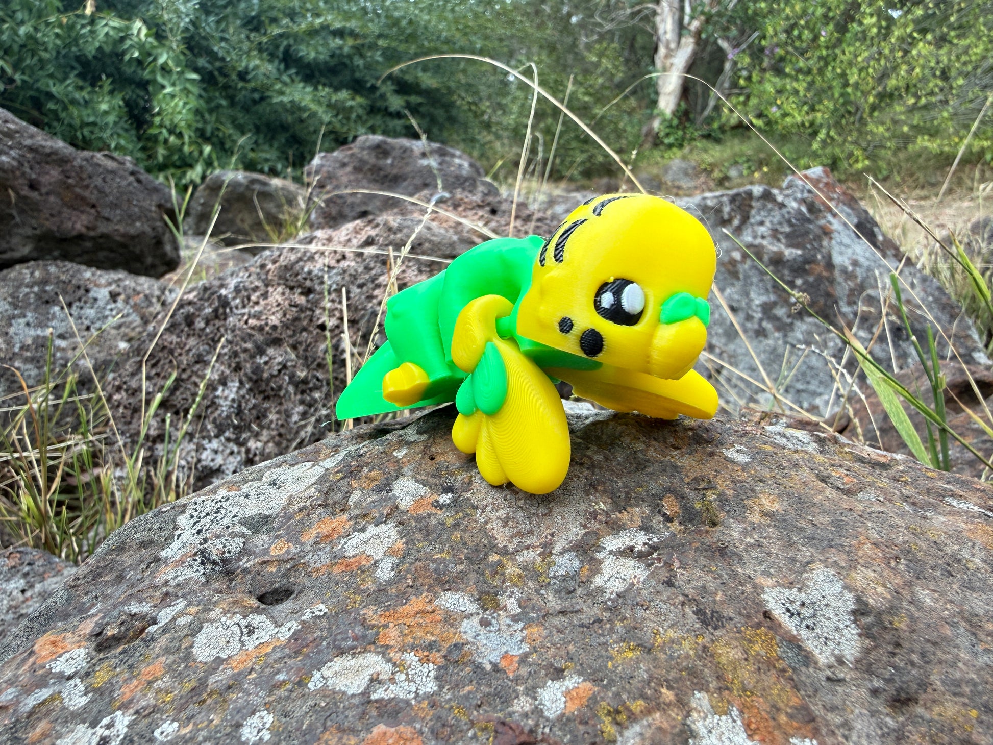 3d printed budgie green and yellow 
on a rock with a natural background