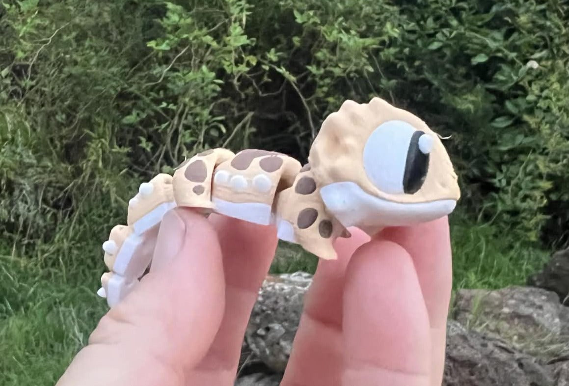 Bearded Dragon Mini Enclosure – Two Bearded Dragons | 3D Printed Habitat Playset