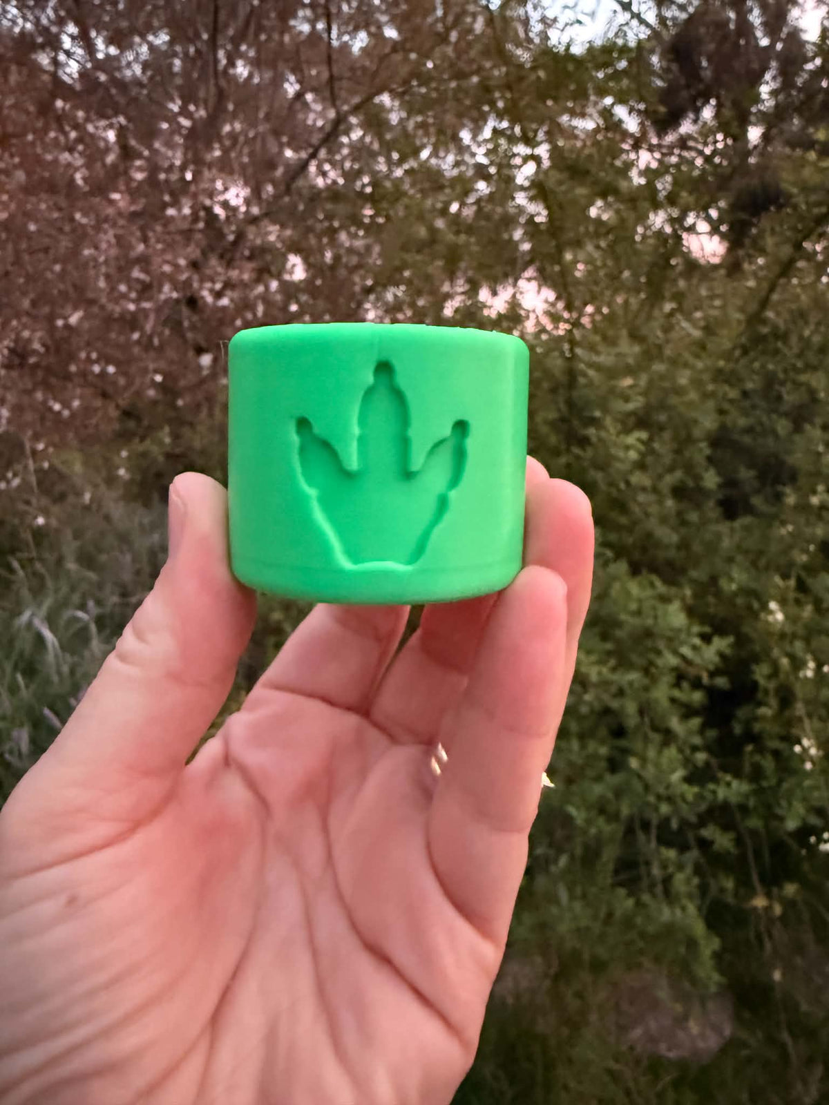 3D Printed Dino Explorer Play Set – Magical Prehistoric Adventure Kit