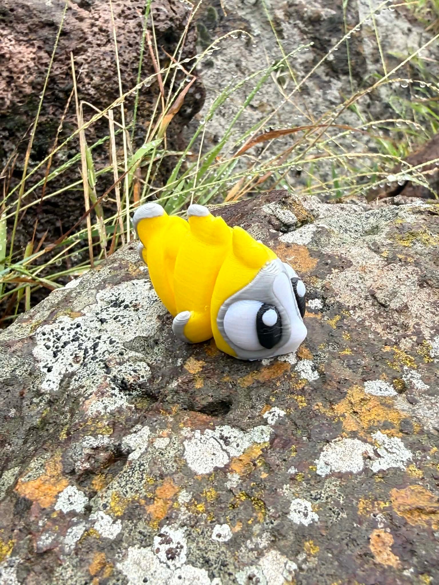 3D Printed Fish Figurines – Blue Tang, Clownfish, Butterfly Fish – Small World Play Decor