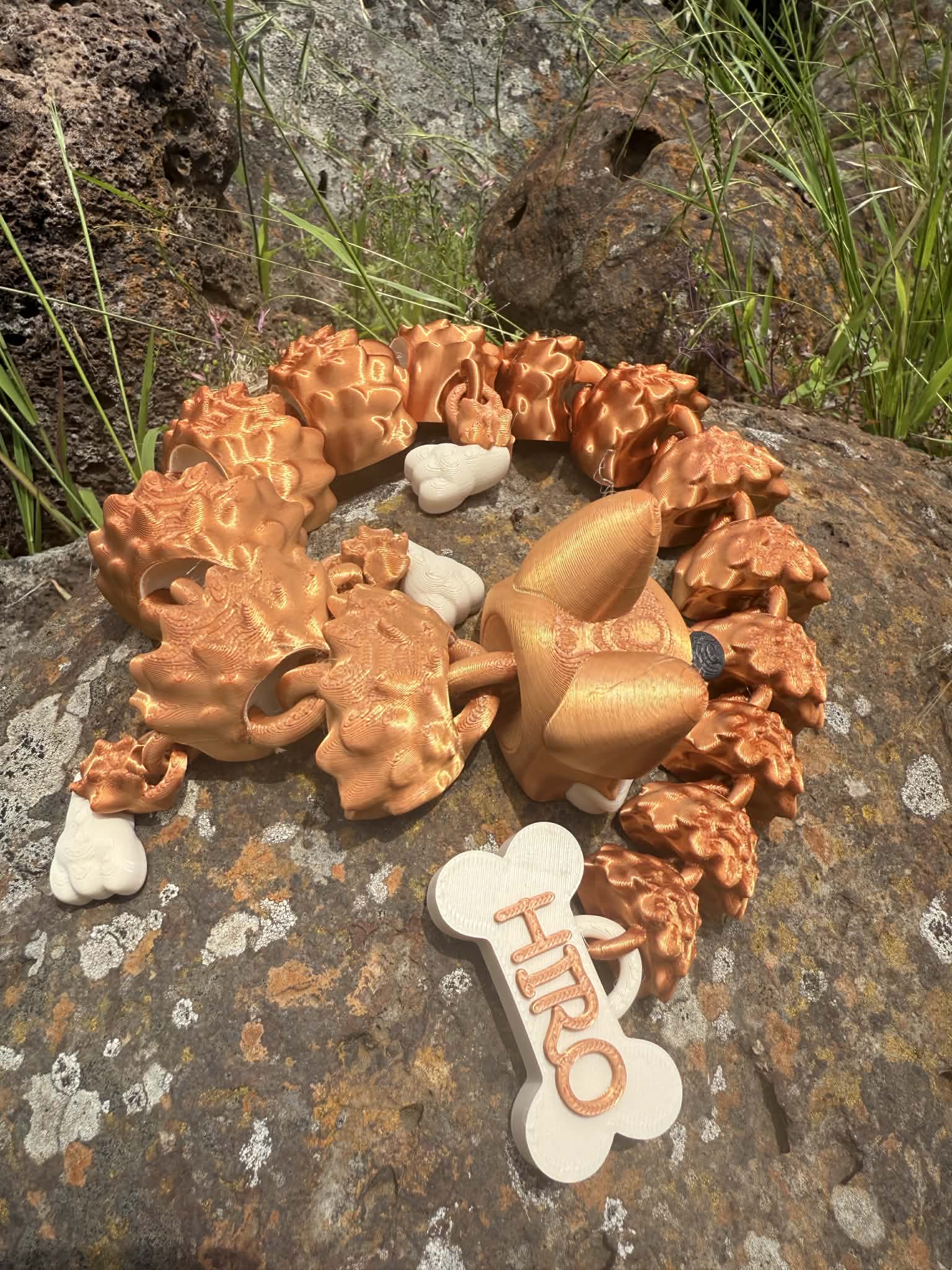 3D printed German Shepard dragon coiled around on a rocky surface with a 'HIRO' bone shaped tail tag.
