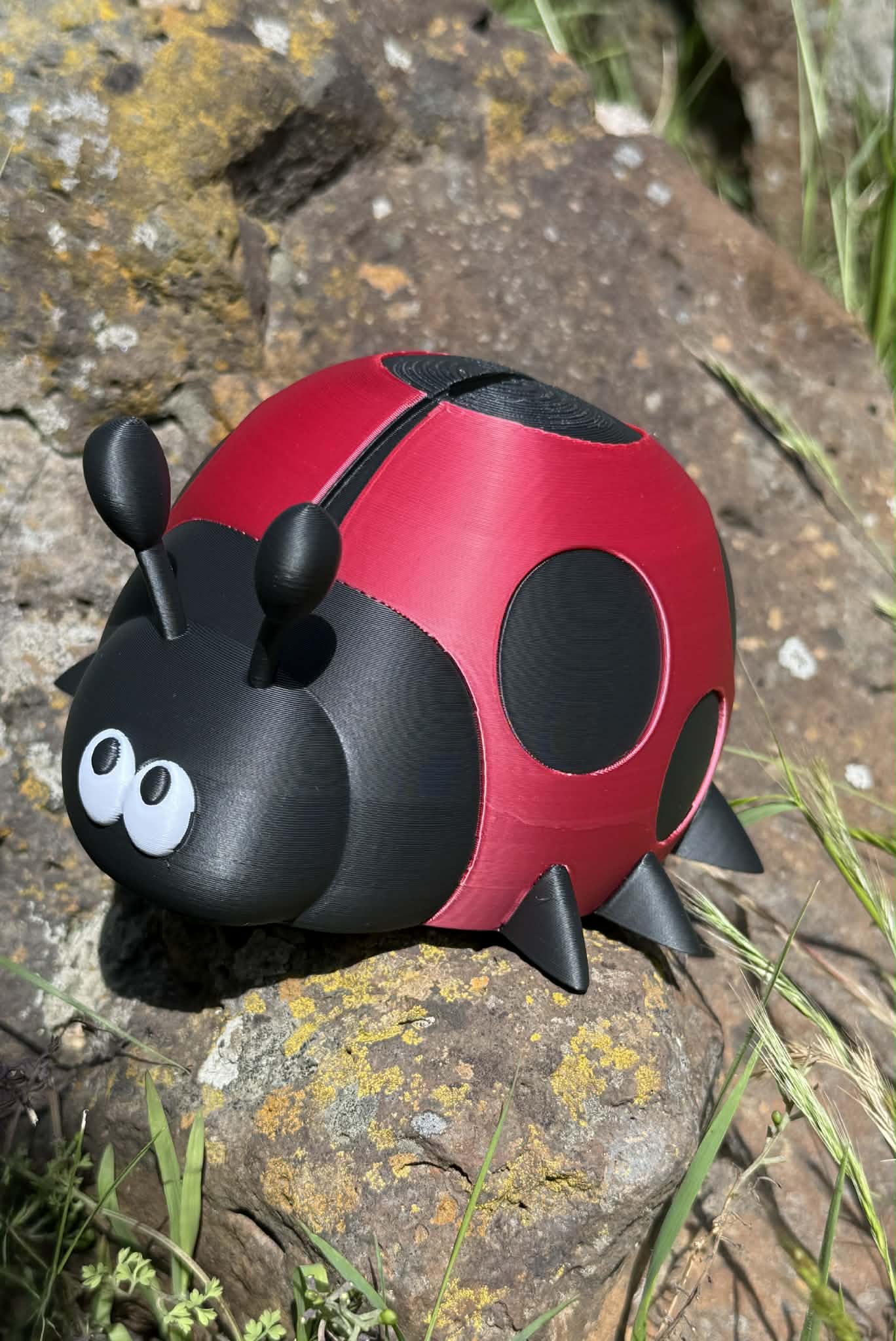 Ladybug Money Box – Cute 3D Printed Coin Bank for Kids || Ladybird Savings Box
