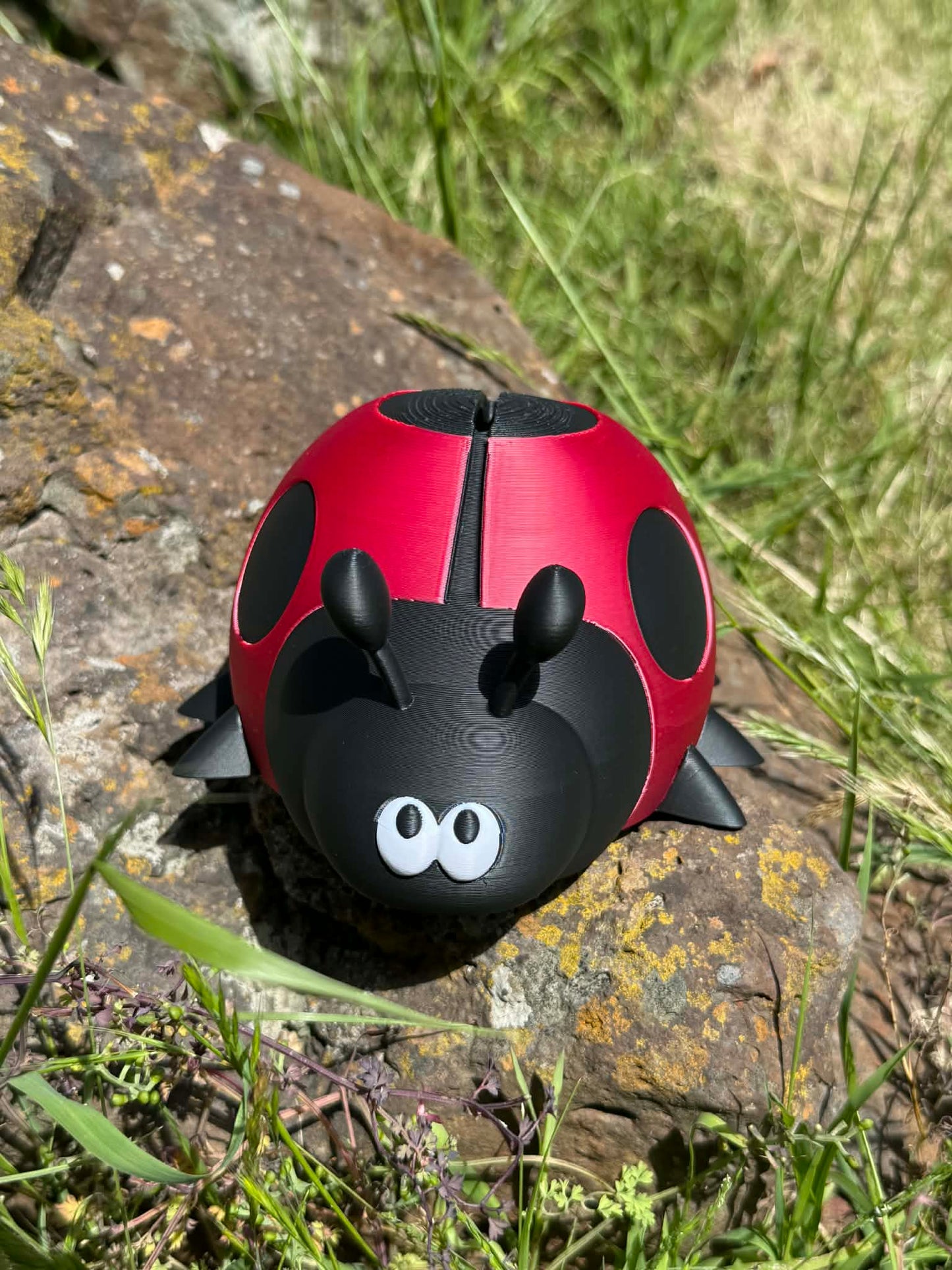 Ladybug Money Box – Cute 3D Printed Coin Bank for Kids || Ladybird Savings Box