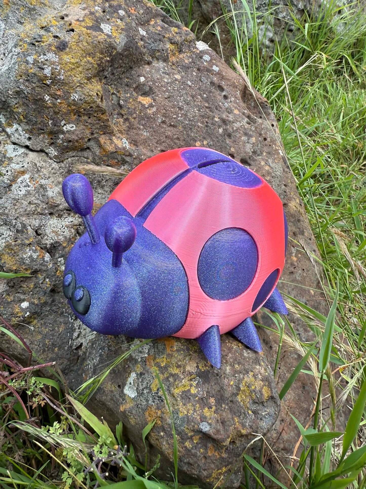 Ladybug Money Box – Cute 3D Printed Coin Bank for Kids || Ladybird Savings Box