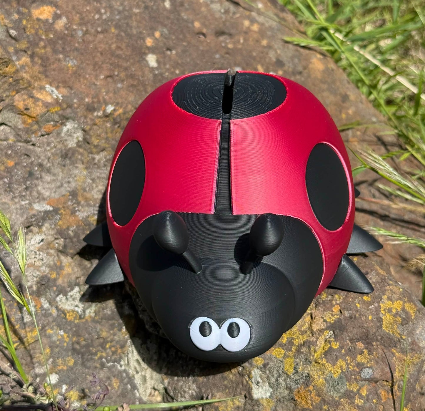 Ladybug Money Box – Cute 3D Printed Coin Bank for Kids || Ladybird Savings Box