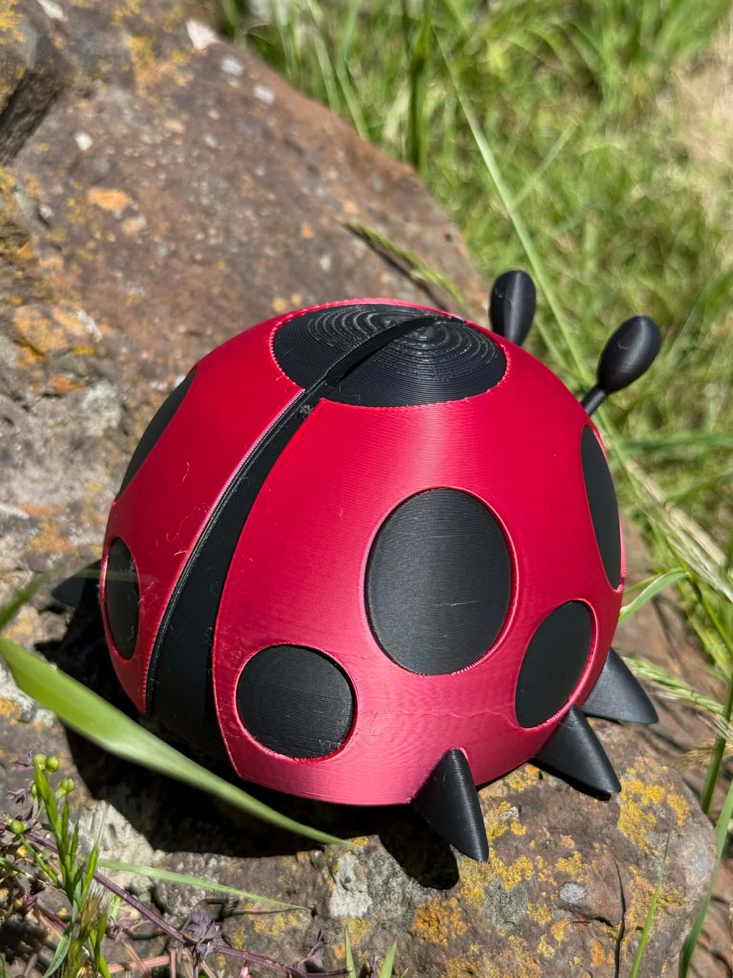 Ladybug Money Box – Cute 3D Printed Coin Bank for Kids || Ladybird Savings Box