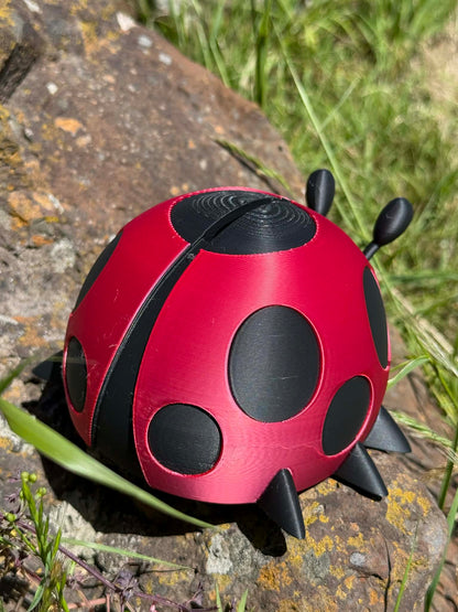 Ladybug Money Box – Cute 3D Printed Coin Bank for Kids || Ladybird Savings Box