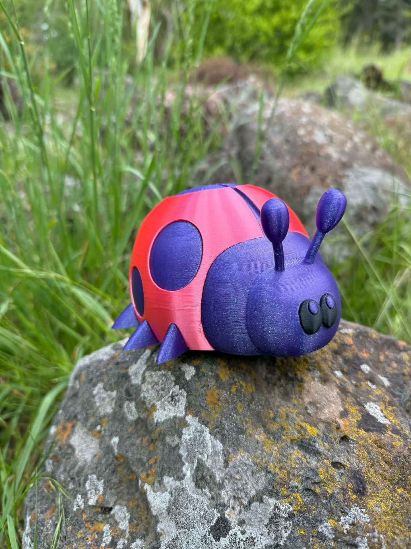 Ladybug Money Box – Cute 3D Printed Coin Bank for Kids || Ladybird Savings Box
