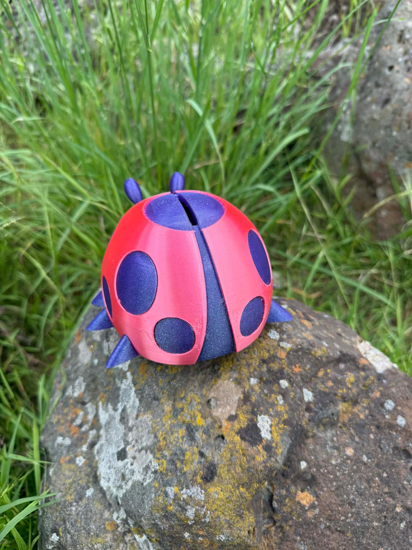 Ladybug Money Box – Cute 3D Printed Coin Bank for Kids || Ladybird Savings Box