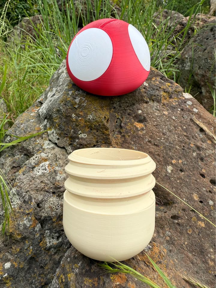 Red and white 3d printed lid of money box on a rock with a beige 3d printed bottom of money box that screws out from top, in the foreground