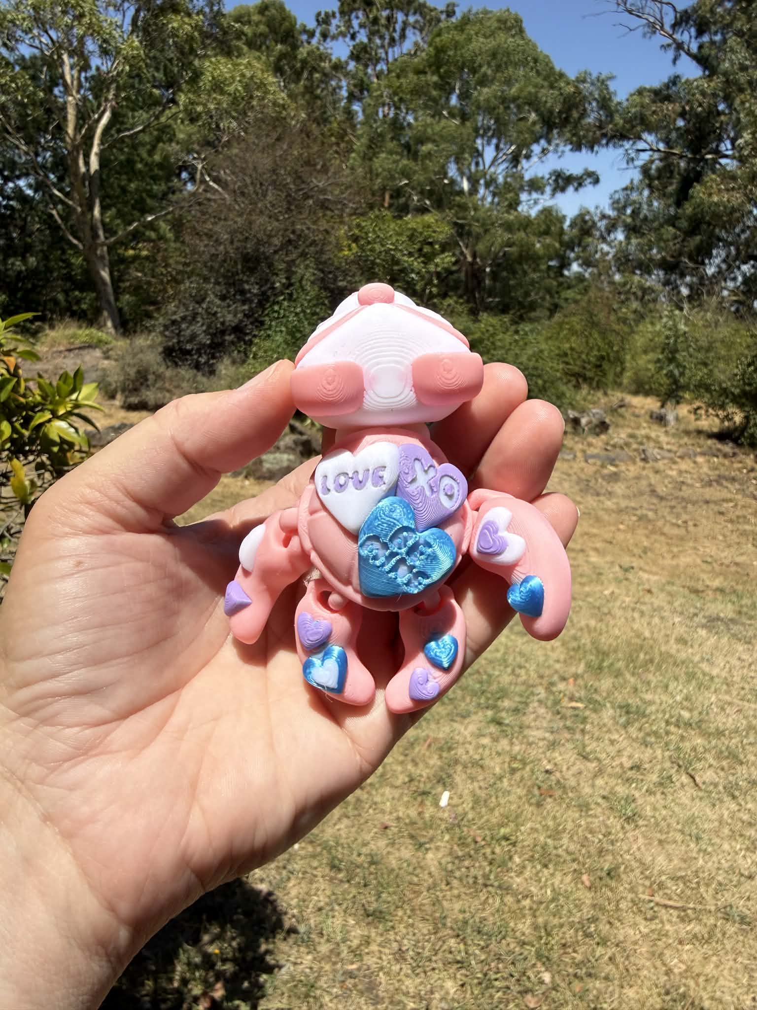 pink and blue 3d printed turtle/panda on a hand with grass in the background