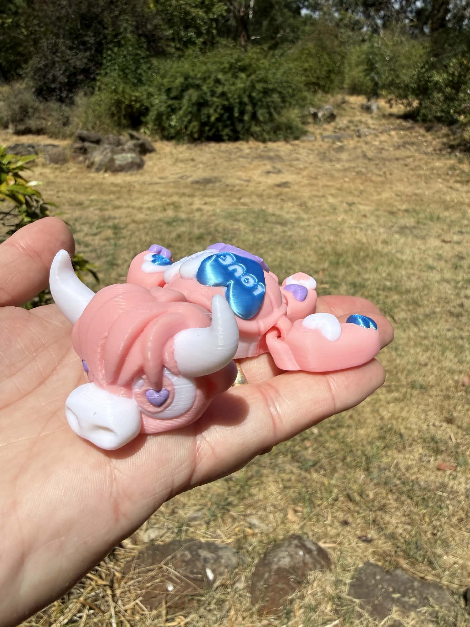 Pink and blue 3d printed turtle/highland cow on a rock with grass in the background