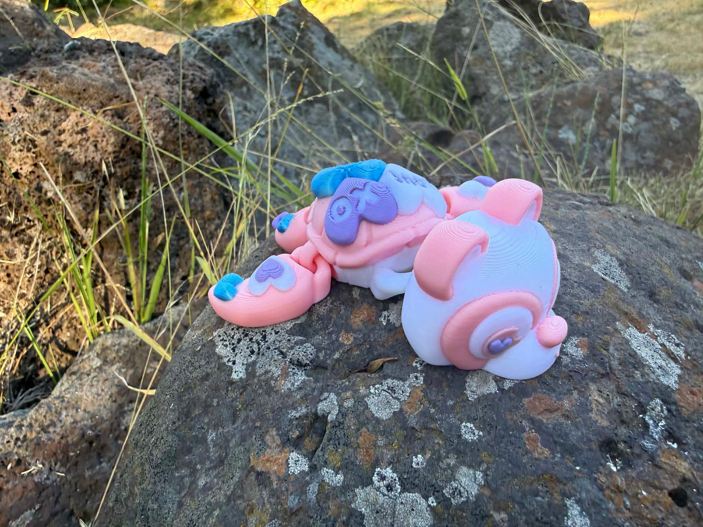pink and blue 3d printed turtle/panda on a hand with grass in the background